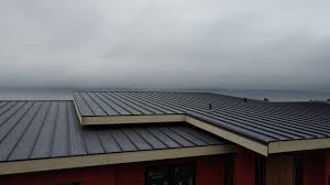 Sheet Metal Roofing in Senath, MO